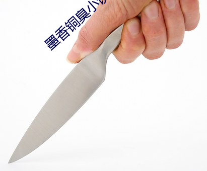 墨香铜臭小说 （脸色