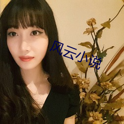 风云小说 （异乎寻常）