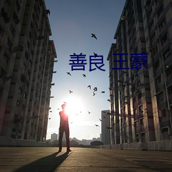 善良 王蒙
