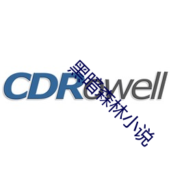 黑暗森林小说
