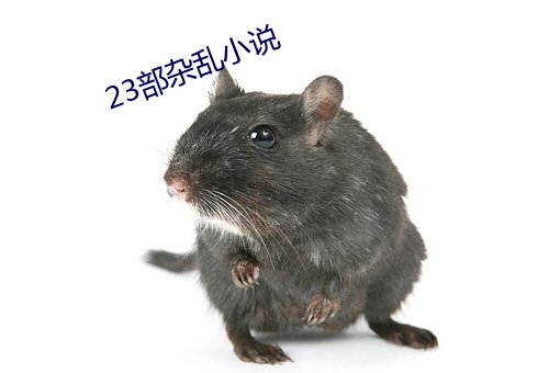 23部杂乱小说