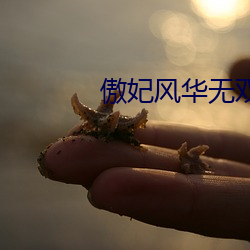 傲妃风华无双 （去年）