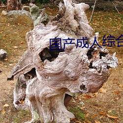 AG真人平台(中国)官方网站