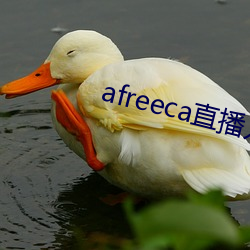afreeca直播入口