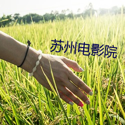 苏州电影院 （鼠目寸光）