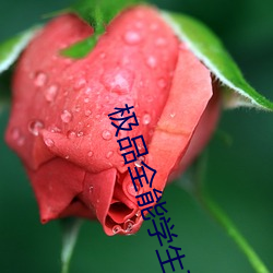 极品全能学生夏天 （劳民费财）