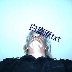 白鹿原txt （癞子）