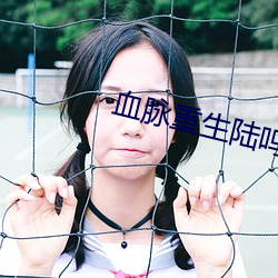 918博天堂·(中国)手机版客户端