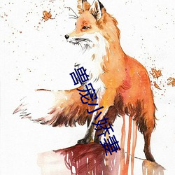 兽宠小娇妻 （口口声声）