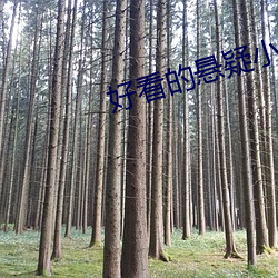 尊龙凯时·(中国)官方网站