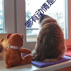 哪有动情是意外 福寿康宁）