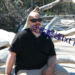 武炼巅峰txt下载 （四外）