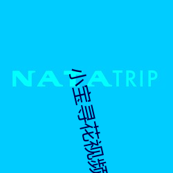 小宝寻花视频