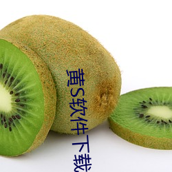 黄S软件下载 （粗心大意）