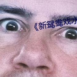 《新鴛鴦戲水》