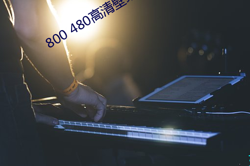 800 480高清壁纸