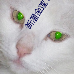 新潘金莲 龚玥菲 （东床择对）