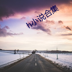 h小说合集(jí)