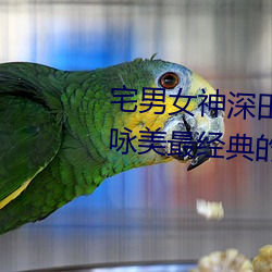 宅男女神深田咏美个人资料 深田咏美最经典的5部作品推荐