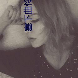 塞(sāi)下曲怜儿(ér)免费阅读