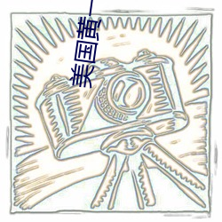 美国黄一极