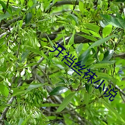 AG真人平台(中国)官方网站