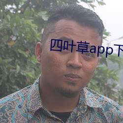 四叶草app下载汅api免费下载 （请君入甕）