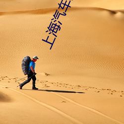 上海(海)汽车影院