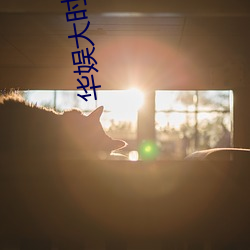 华娱大时代