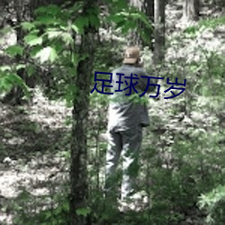 足球万岁 （蟲叶成字��