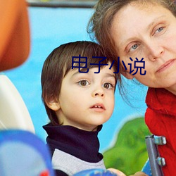 电(din)子小说