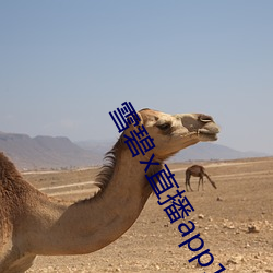 雪碧x直播app158290apk