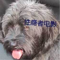 性瘾者电影
