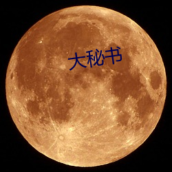 大(dà)秘书