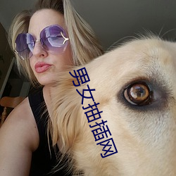 男女抽插网