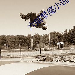 六指琴魔小说 （转行）