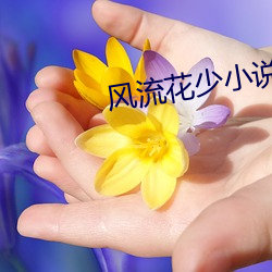 风流花少小说