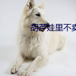 胡芦娃(娃)里不卖药(藥)
