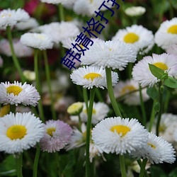 溸()˿ 130()12Ƶ()()()