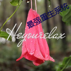 最强重生系统 （机不容发）