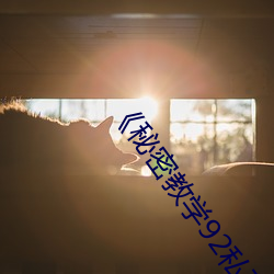 ؽ(jio)ѧ92˽(xi)⡷Ķ