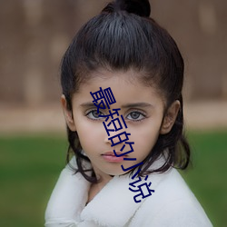 最短的小说