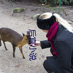 后宫小说(shuō)