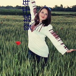穿越(越)千年(年)
