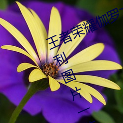 鸿运国际·(中国)会员登录入口