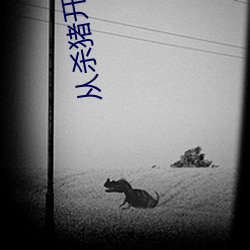 从杀猪开始修仙