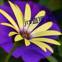 jrs直播在线观看
