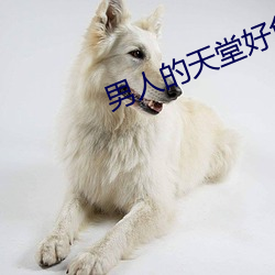 男人的天堂好色鬼 （负德孤恩）
