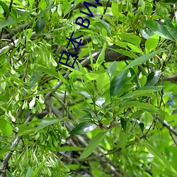 米乐M6·(中国)官方网站