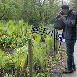 触(觸)手小说(說)